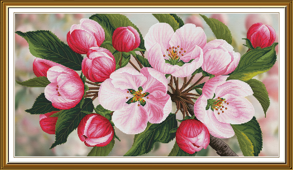 Buy Cross stitch kit Apple Aroma-Sr1526