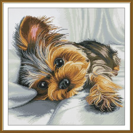 Buy Cross stitch kit Pretty Girl-Sr2348