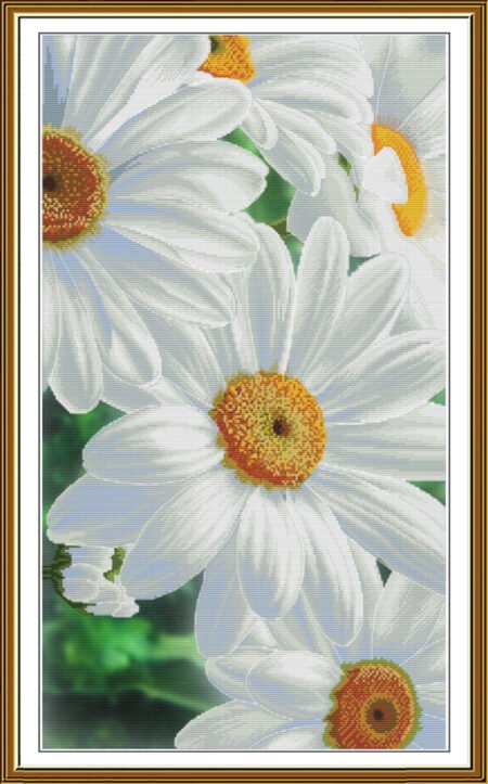 Buy Cross stitch kit The Tenderness Of Daisies-Sr3476