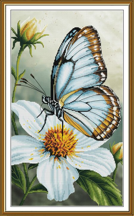 Buy Cross stitch kit Butterfly-Sr3493