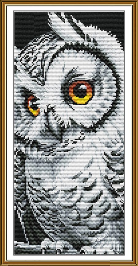 Buy Cross stitch kit Sorceress-Sr4246