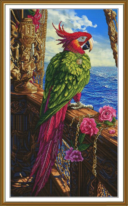 Buy Cross stitch kit Pirate-Sr6300