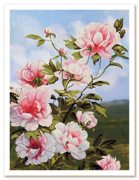 Buy Cross stitch kit Peonies-Sv1137