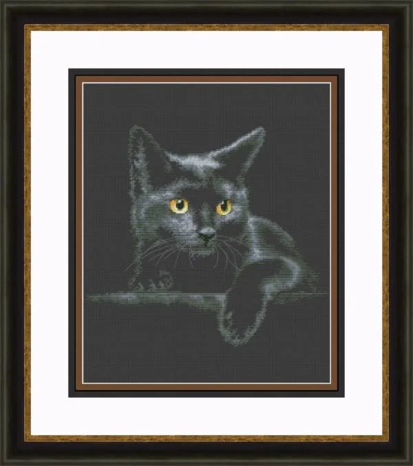 Buy Cross stitch kit Black cat-VN-166