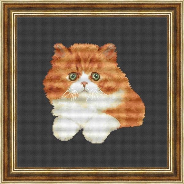 Buy Cross stitch kit Ginger kitten-VN-176
