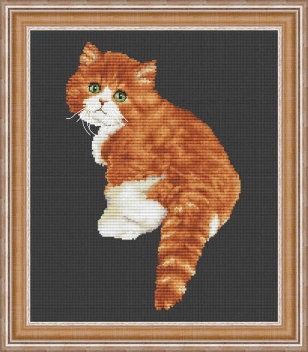 Buy Cross stitch kit Cute cat-VN-177